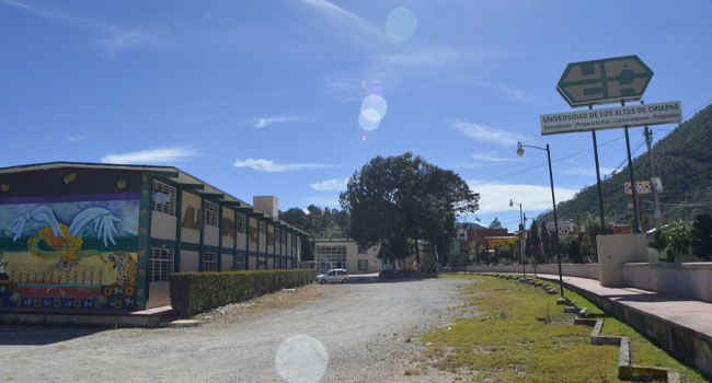 Descripción de la imagen